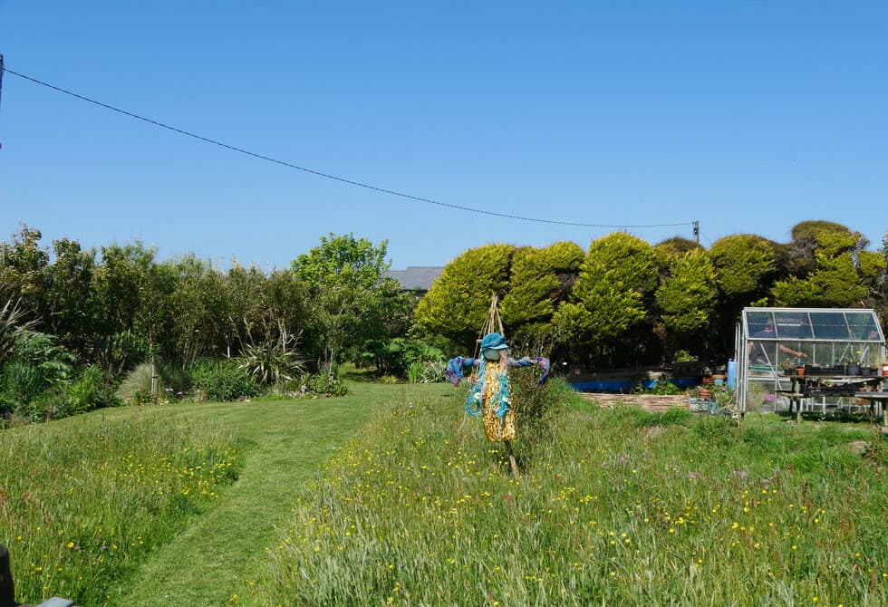 Jardin résidentiel avec pelouse et serre, illustrant un projet d'hydroseeding pour particulier