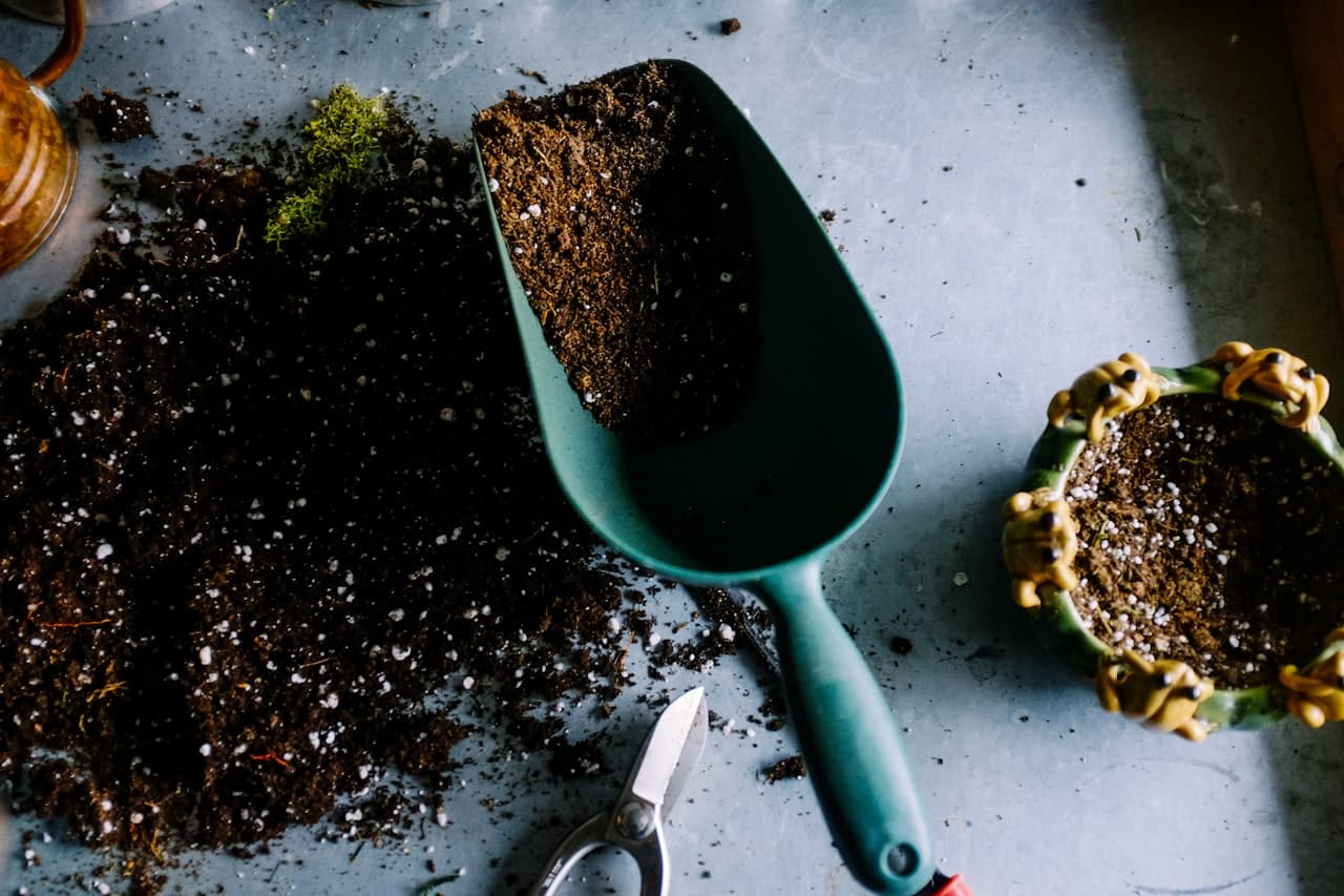 Outils de jardinage, terreau et semences sur un plan de travail, illustrant les fournitures d'un chantier d'engazonnement