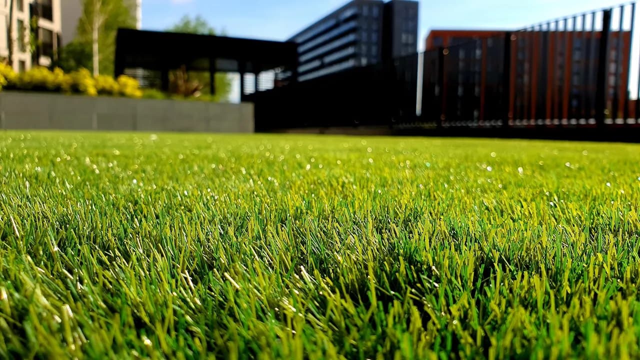 Réalisation d'hydroseeding par Hydroseeder.fr